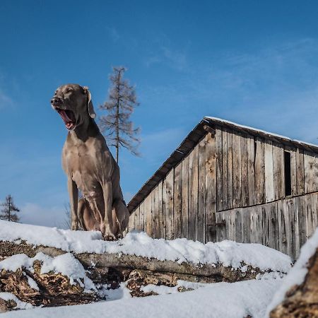 Pension Pod Morskym Okem Karlovice  Buitenkant foto
