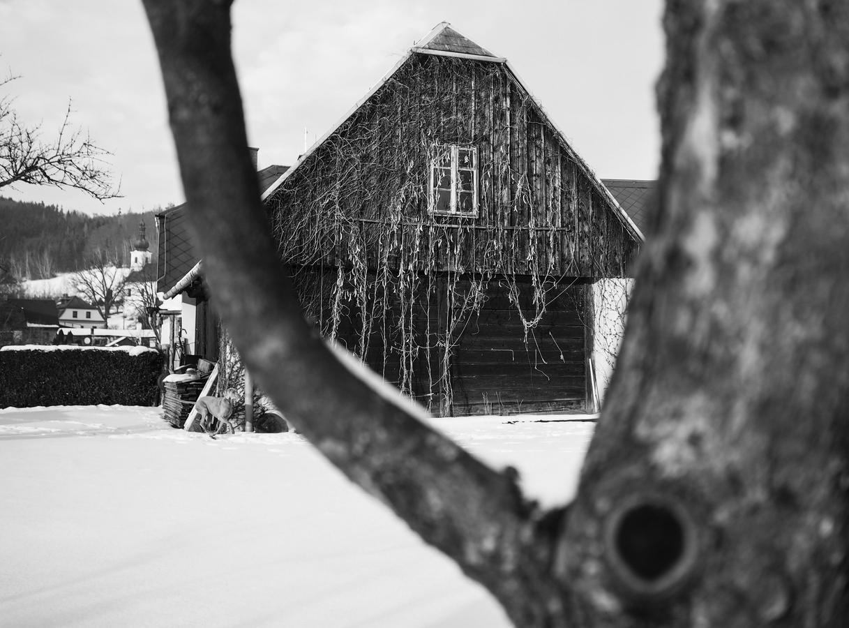 Pension Pod Morskym Okem Karlovice  Buitenkant foto