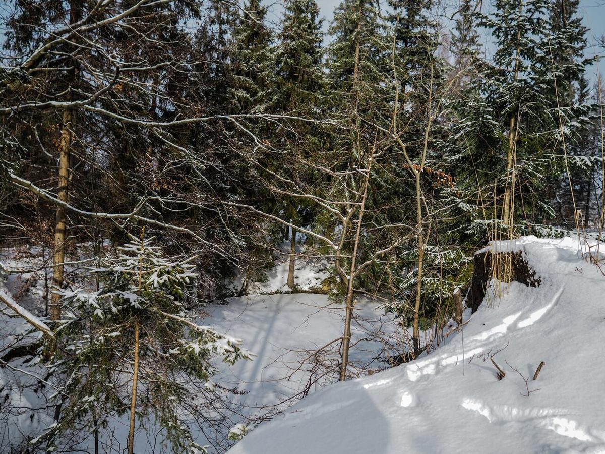 Pension Pod Morskym Okem Karlovice  Buitenkant foto