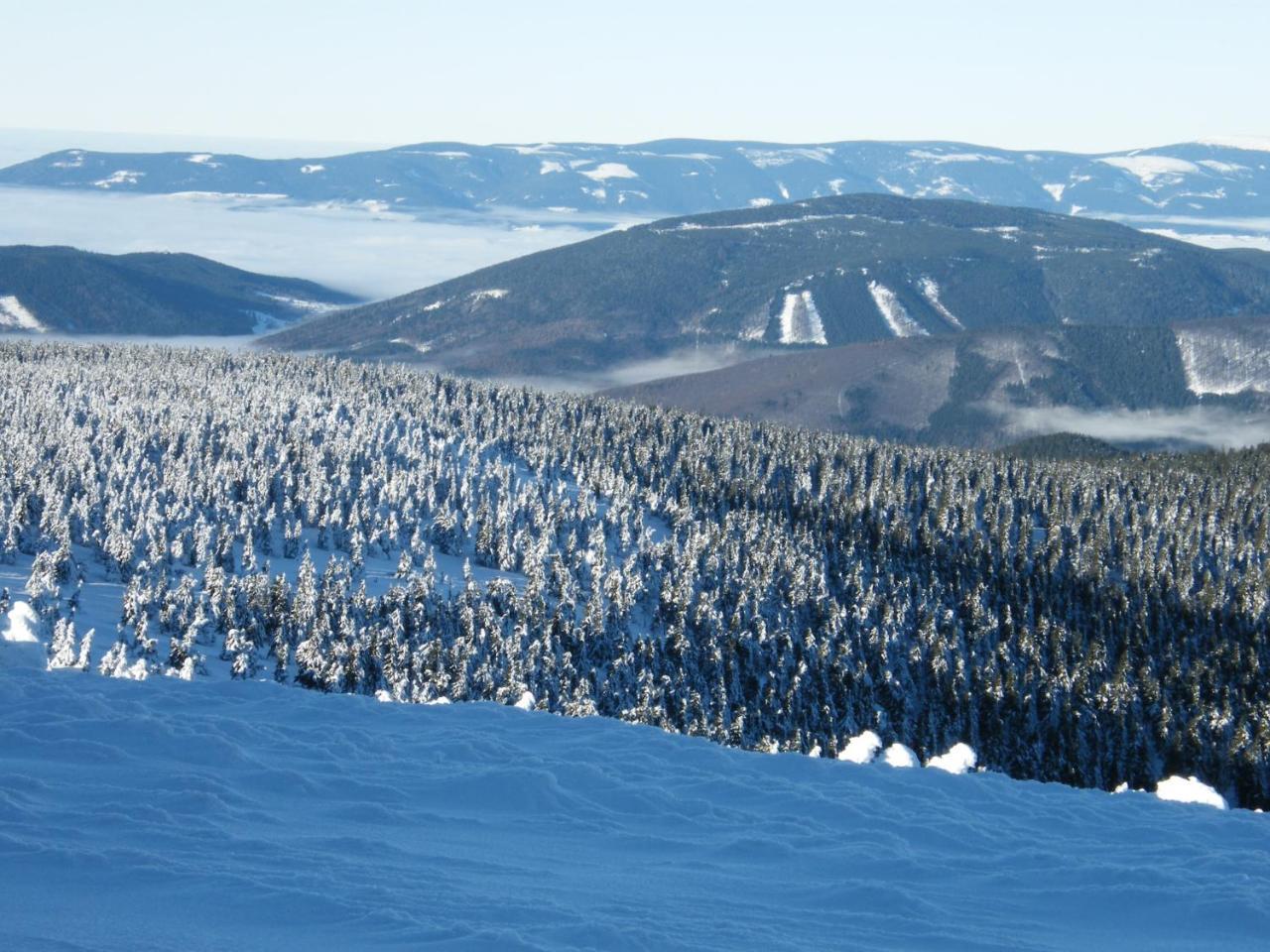 Pension Pod Morskym Okem Karlovice  Buitenkant foto