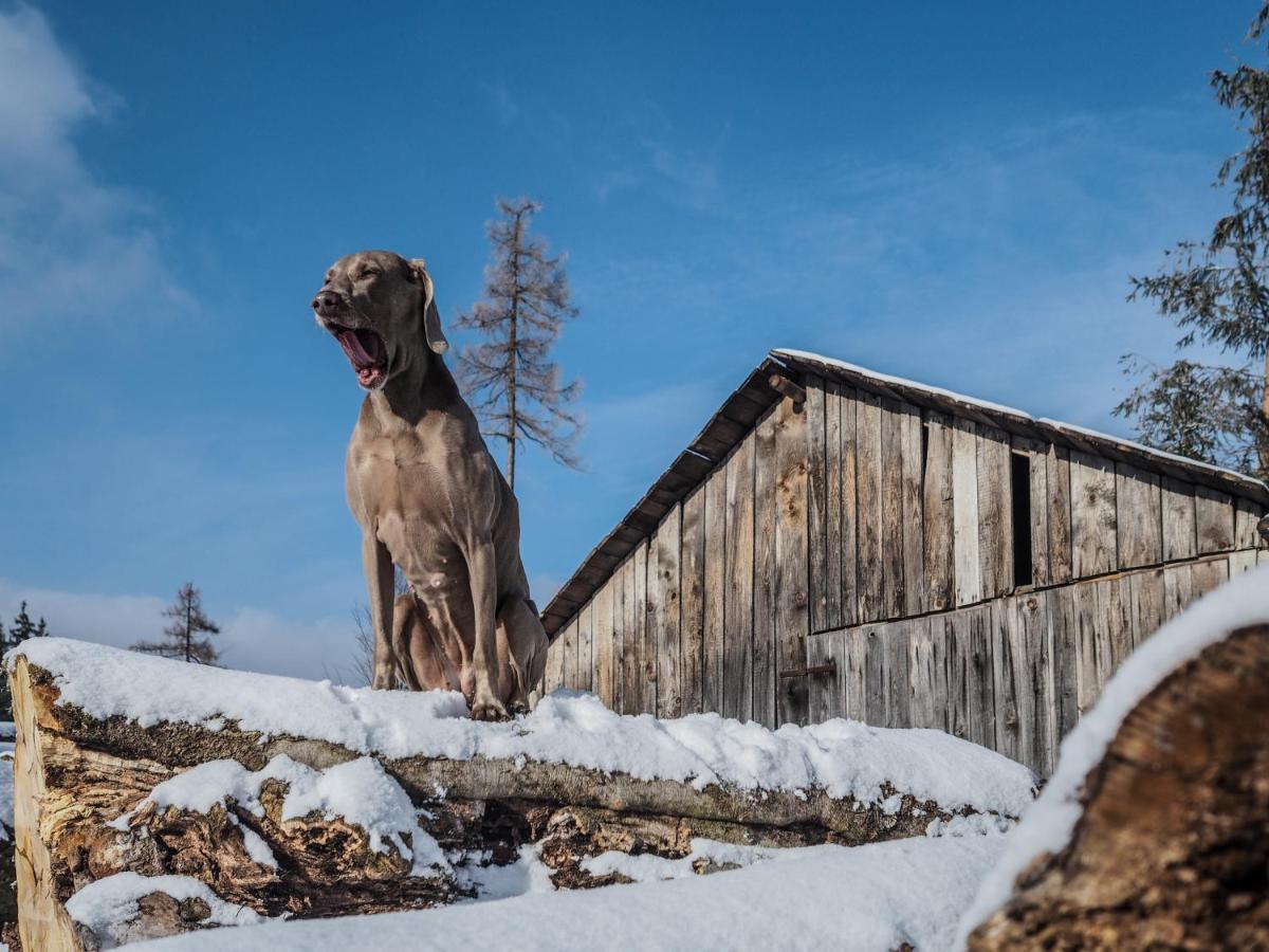 Pension Pod Morskym Okem Karlovice  Buitenkant foto